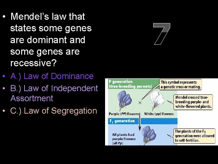  • Mendel’s law that states some genes are dominant and some genes are