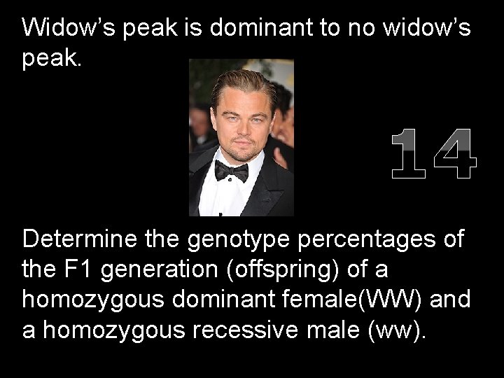 Widow’s peak is dominant to no widow’s peak. 14 Determine the genotype percentages of