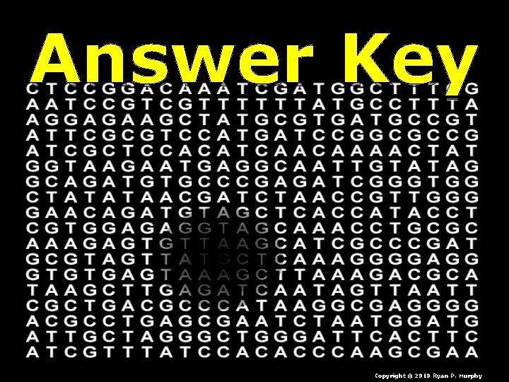 Answer Key Copyright © 2010 Ryan P. Murphy 