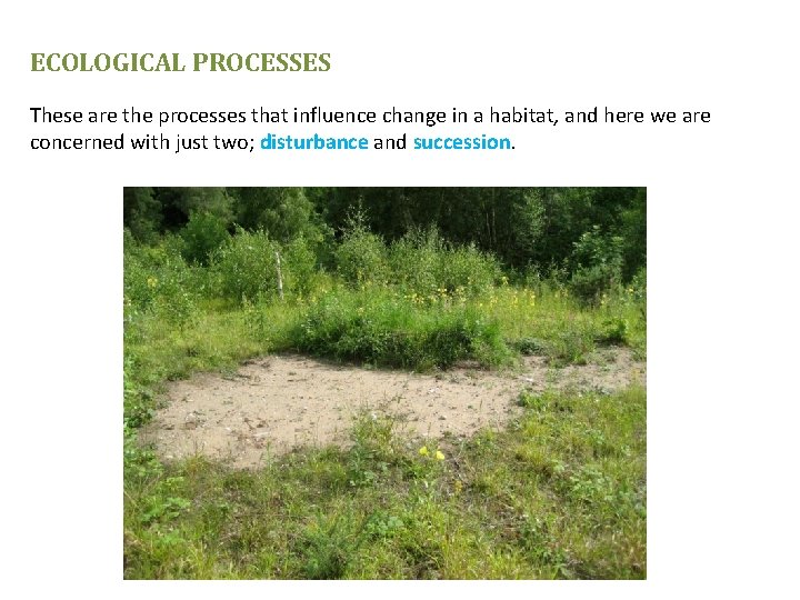 ECOLOGICAL PROCESSES These are the processes that influence change in a habitat, and here