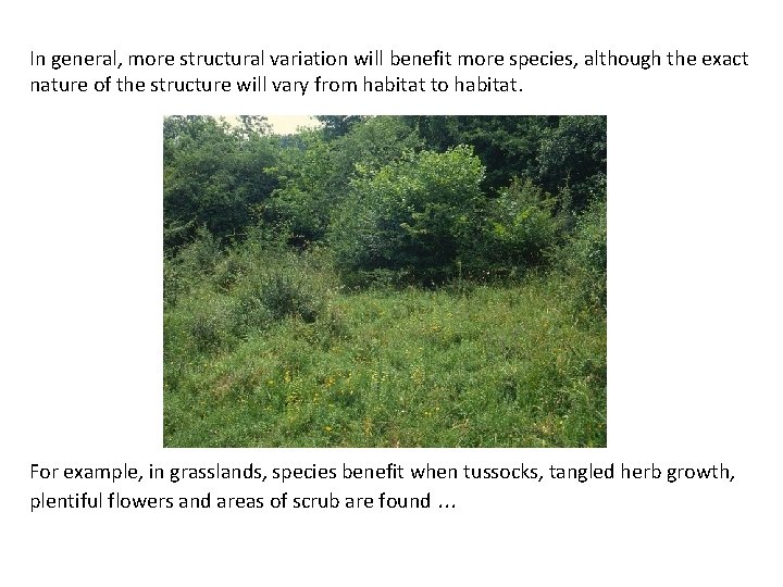 In general, more structural variation will benefit more species, although the exact nature of