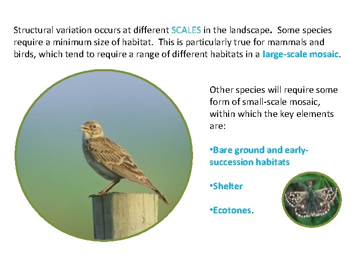 Structural variation occurs at different SCALES in the landscape. Some species require a minimum