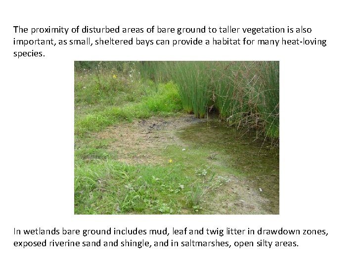 The proximity of disturbed areas of bare ground to taller vegetation is also important,