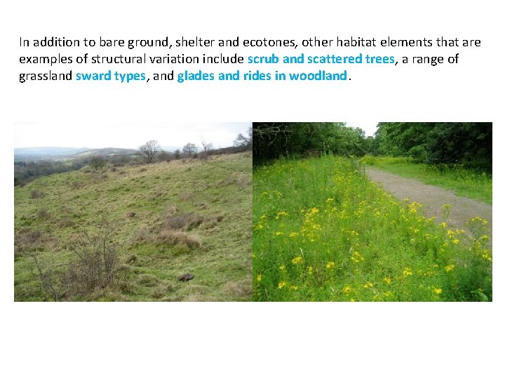 In addition to bare ground, shelter and ecotones, other habitat elements that are examples