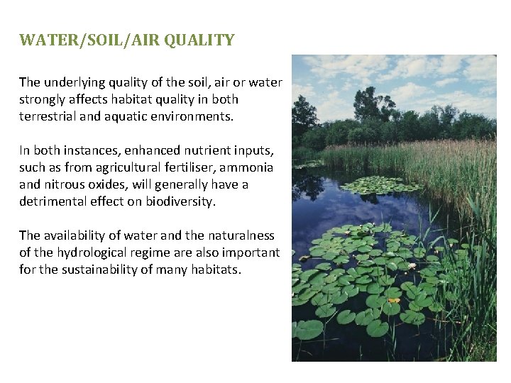 WATER/SOIL/AIR QUALITY The underlying quality of the soil, air or water strongly affects habitat
