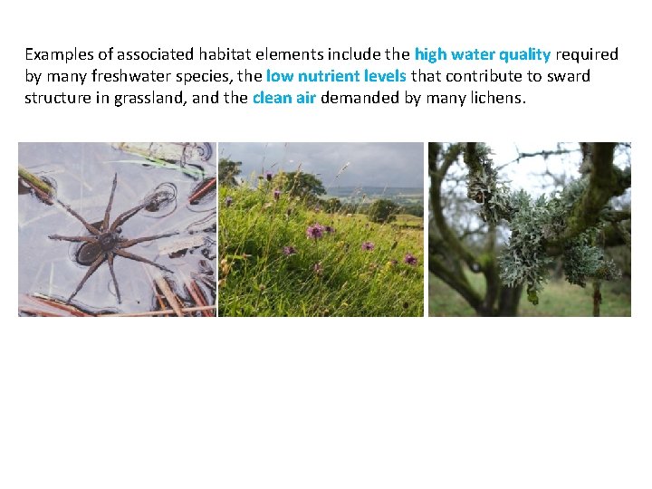 Examples of associated habitat elements include the high water quality required by many freshwater