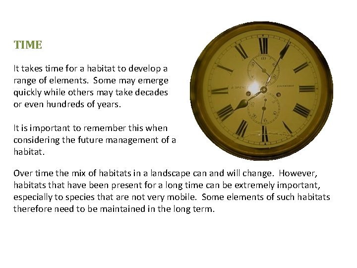 TIME It takes time for a habitat to develop a range of elements. Some