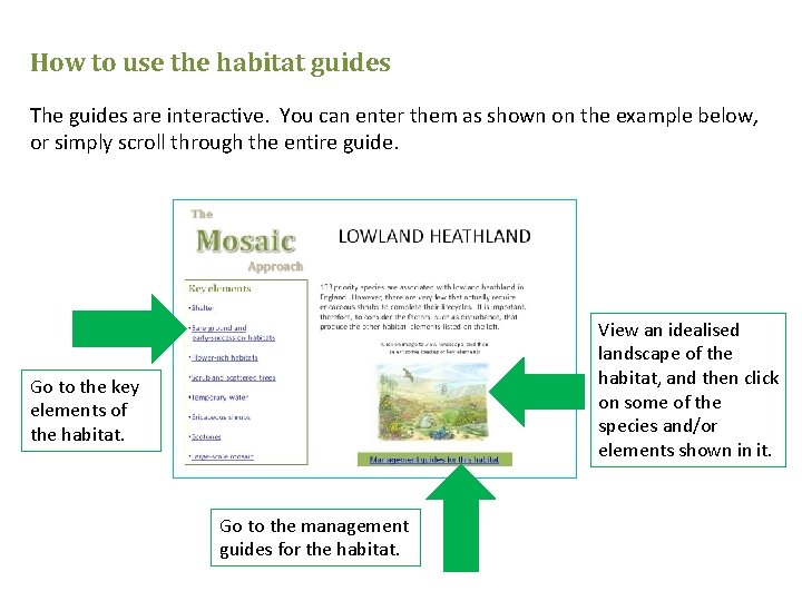 How to use the habitat guides The guides are interactive. You can enter them
