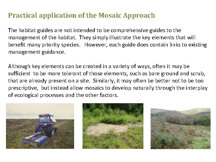 Practical application of the Mosaic Approach The habitat guides are not intended to be