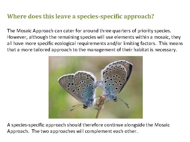 Where does this leave a species-specific approach? The Mosaic Approach can cater for around