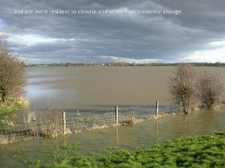 . . . and are more resilient to climate and other environmental change. 