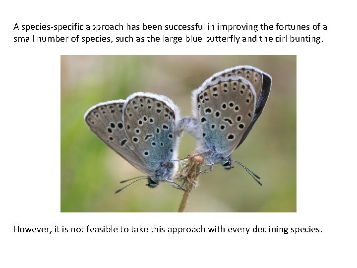 A species-specific approach has been successful in improving the fortunes of a small number