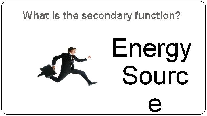 What is the secondary function? Energy Sourc e 