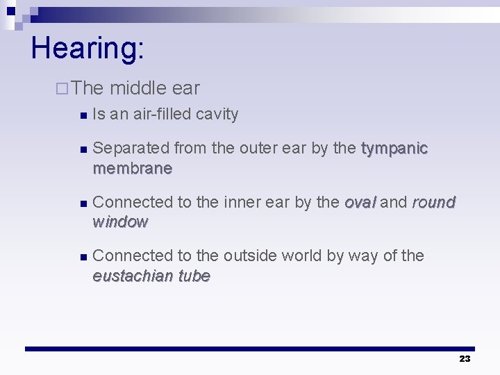 Hearing: ¨ The middle ear n Is an air-filled cavity n Separated from the Hearing: ¨ The middle ear n Is an air-filled cavity n Separated from the