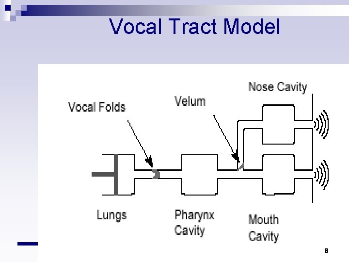 Vocal Tract Model 8 Vocal Tract Model 8