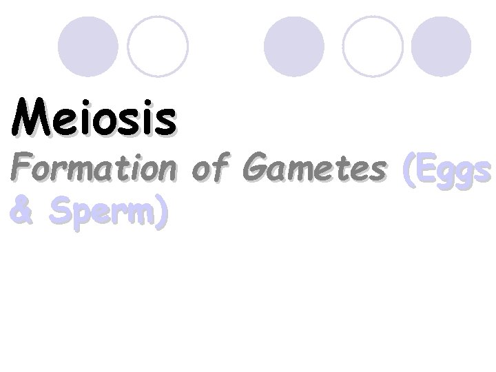 Meiosis Formation of Gametes (Eggs & Sperm) 