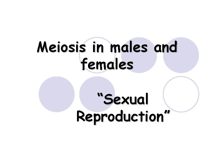 Meiosis in males and females “Sexual Reproduction” 