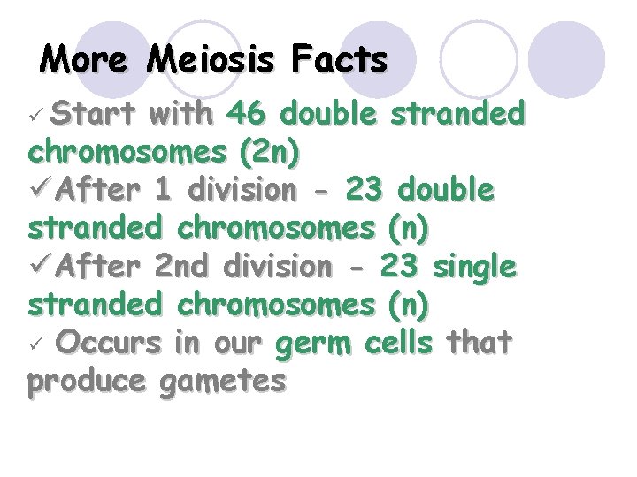 More Meiosis Facts ü Start with 46 double stranded chromosomes (2 n) üAfter 1