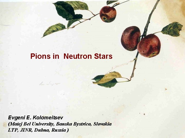 Pions in Neutron Stars Evgeni E. Kolomeitsev (Matej Bel University, Banska Bystrica, Slovakia LTP,