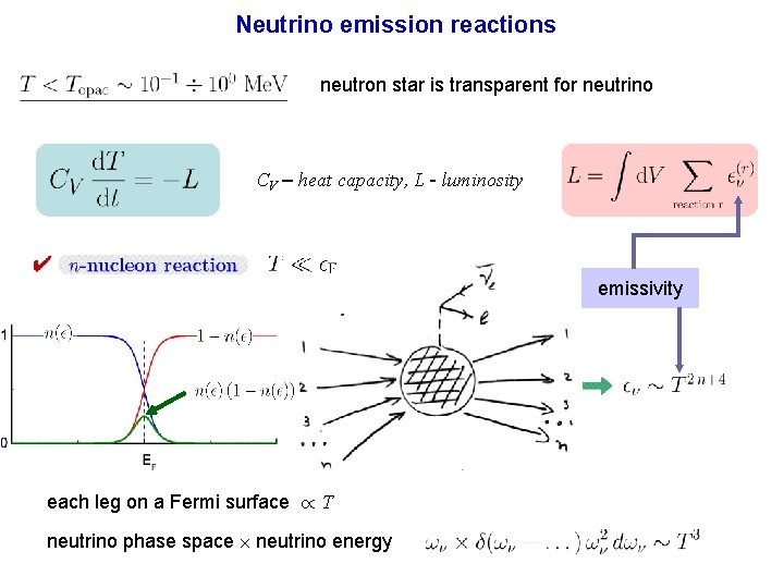 Neutrino emission reactions neutron star is transparent for neutrino CV – heat capacity, L