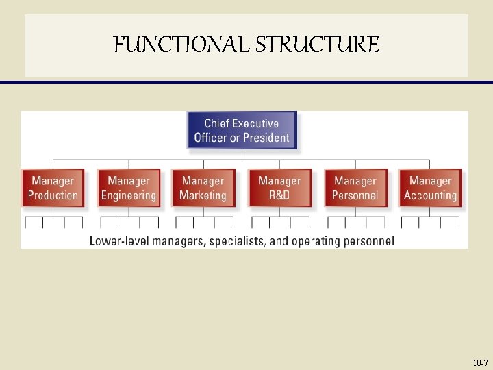 FUNCTIONAL STRUCTURE 10 -7 