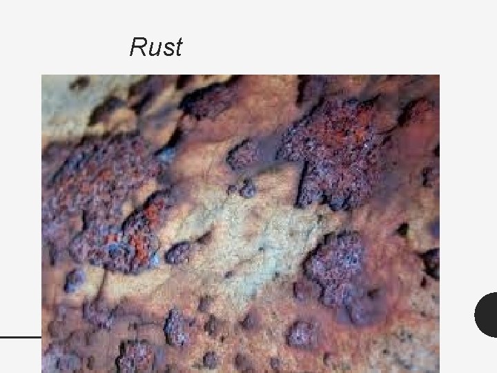 Rust 