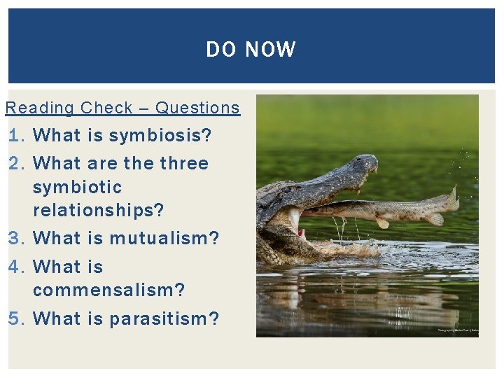 DO NOW Reading Check – Questions 1. What is symbiosis? 2. What are three DO NOW Reading Check – Questions 1. What is symbiosis? 2. What are three