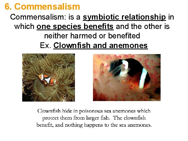 6. Commensalism: is a symbiotic relationship in which one species benefits and the other 6. Commensalism: is a symbiotic relationship in which one species benefits and the other