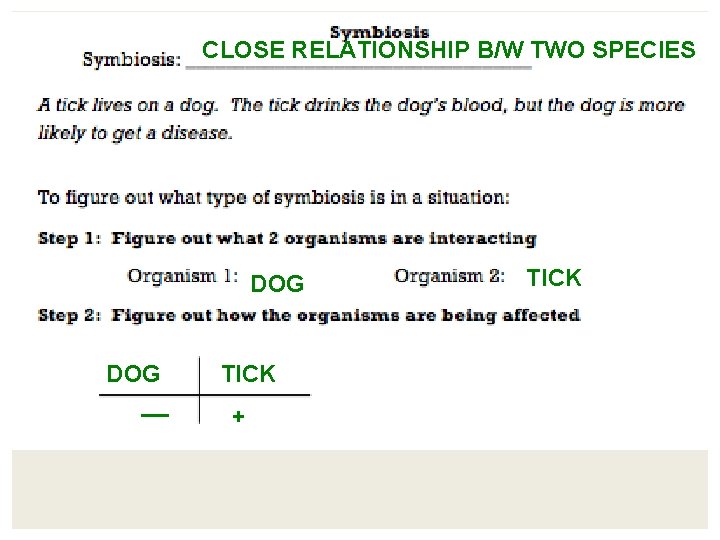 CLOSE RELATIONSHIP B/W TWO SPECIES DOG __ TICK + TICK CLOSE RELATIONSHIP B/W TWO SPECIES DOG __ TICK + TICK