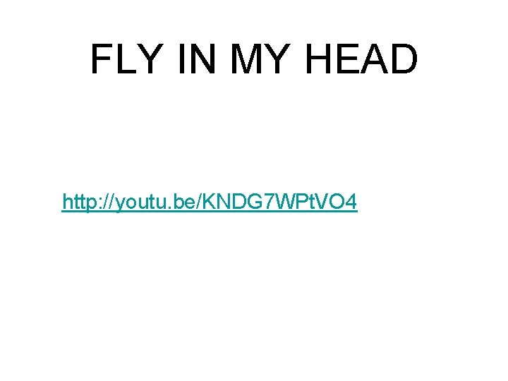FLY IN MY HEAD http: //youtu. be/KNDG 7 WPt. VO 4 FLY IN MY HEAD http: //youtu. be/KNDG 7 WPt. VO 4