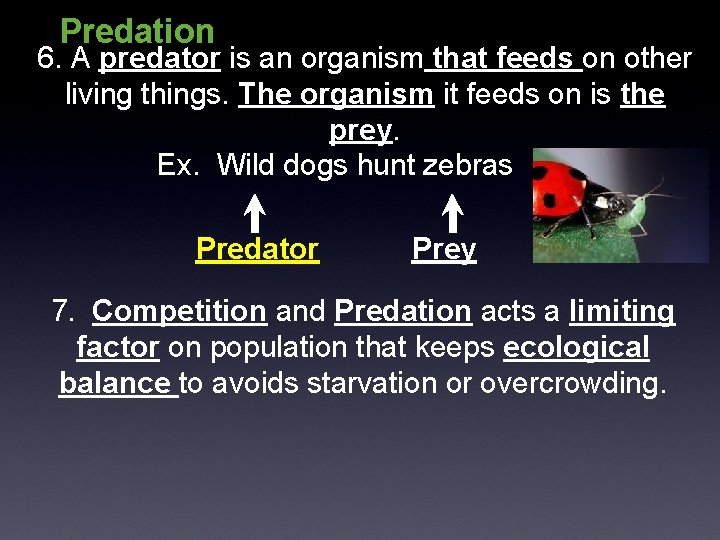 Predation 6. A predator is an organism that feeds on other living things. The Predation 6. A predator is an organism that feeds on other living things. The