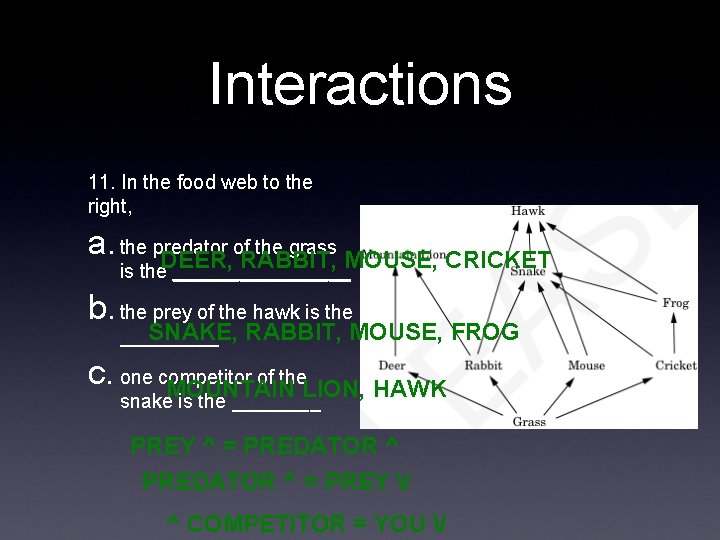 Interactions 11. In the food web to the right, a. the predator of the Interactions 11. In the food web to the right, a. the predator of the