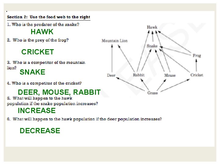 HAWK CRICKET SNAKE DEER, MOUSE, RABBIT INCREASE DECREASE HAWK CRICKET SNAKE DEER, MOUSE, RABBIT INCREASE DECREASE