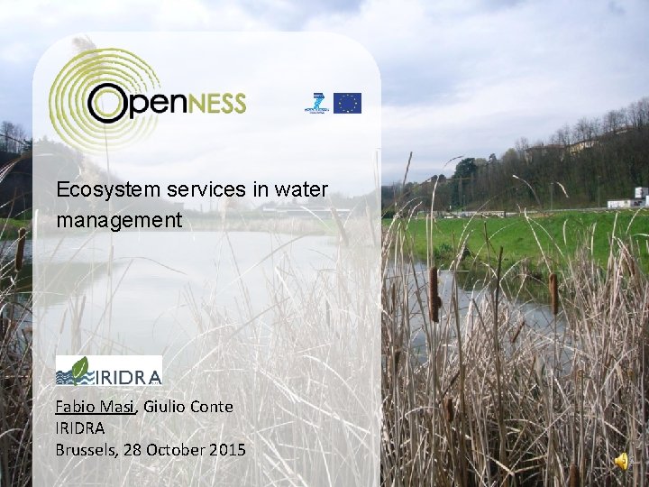 Ecosystem services in water management Fabio Masi, Giulio Conte IRIDRA Brussels, 28 October 2015