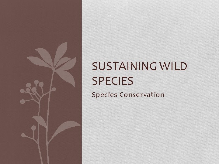 SUSTAINING WILD SPECIES Species Conservation 