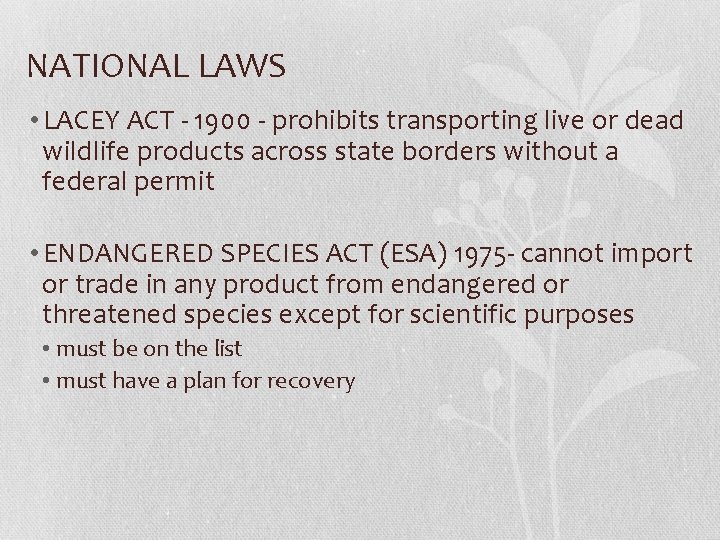 NATIONAL LAWS • LACEY ACT - 1900 - prohibits transporting live or dead wildlife