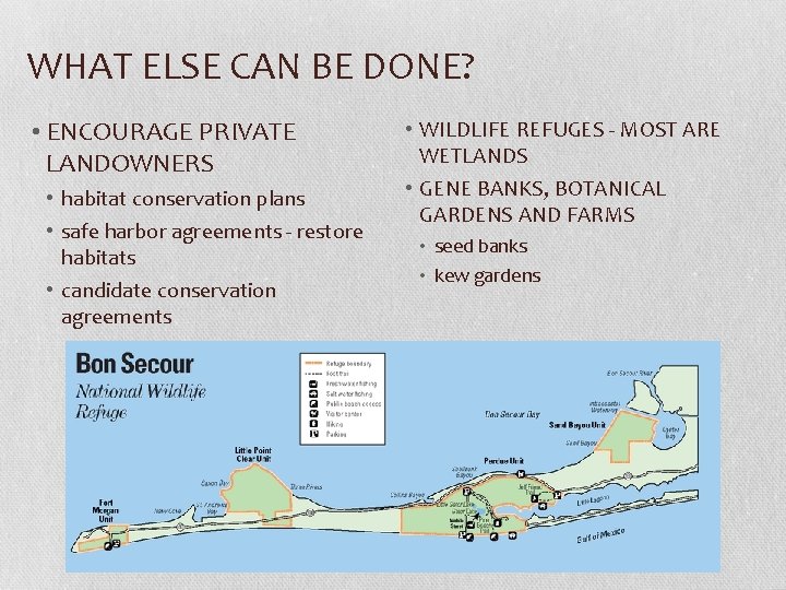 WHAT ELSE CAN BE DONE? • ENCOURAGE PRIVATE LANDOWNERS • habitat conservation plans •