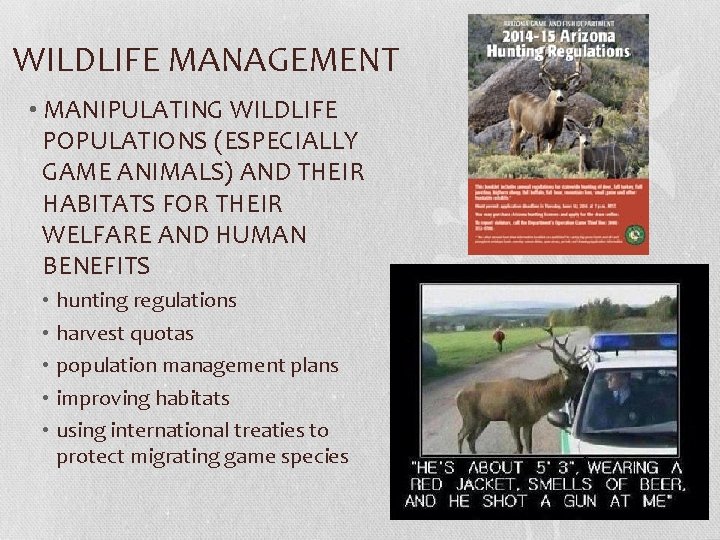 WILDLIFE MANAGEMENT • MANIPULATING WILDLIFE POPULATIONS (ESPECIALLY GAME ANIMALS) AND THEIR HABITATS FOR THEIR