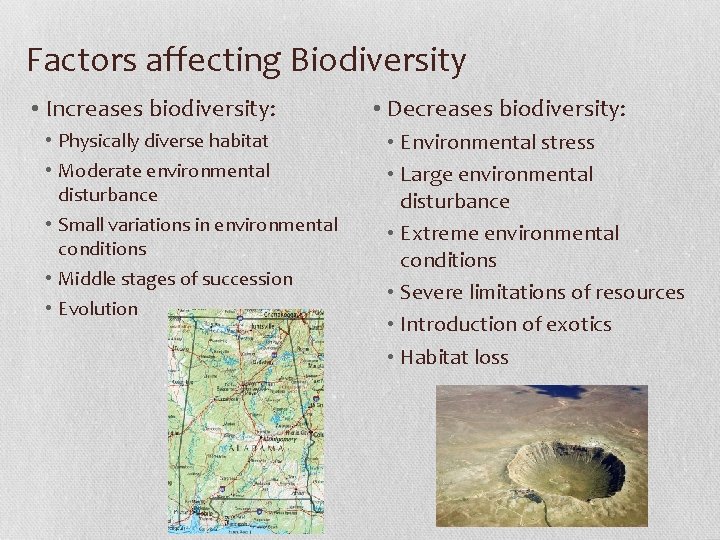 Factors affecting Biodiversity • Increases biodiversity: • Physically diverse habitat • Moderate environmental disturbance