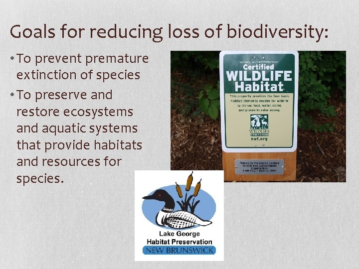 Goals for reducing loss of biodiversity: • To prevent premature extinction of species •