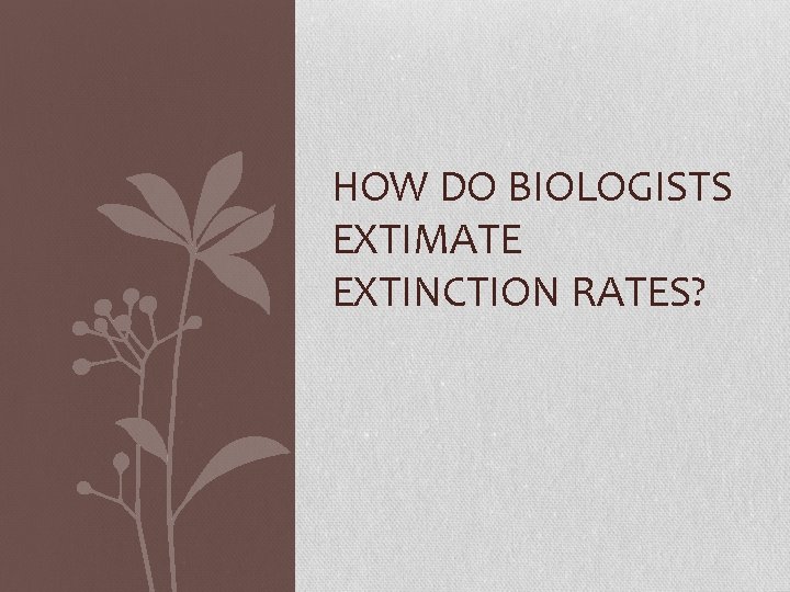 HOW DO BIOLOGISTS EXTIMATE EXTINCTION RATES? 