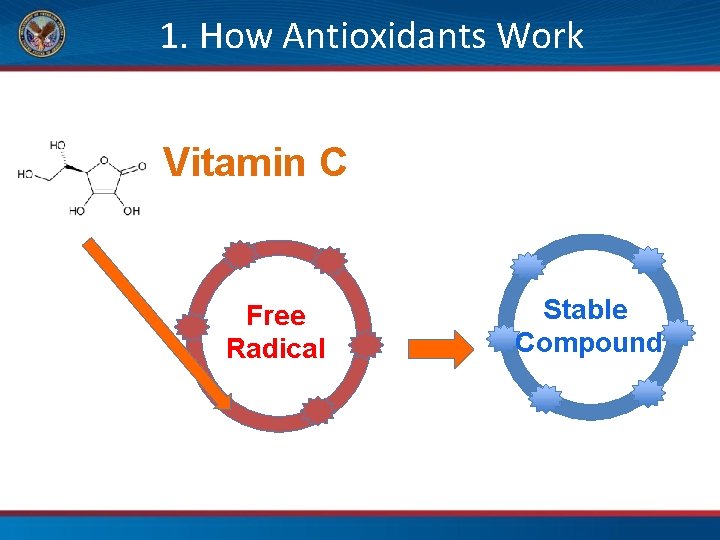 1. How Antioxidants Work Vitamin C Free Radical Stable Compound 