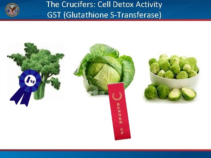 The Crucifers: Cell Detox Activity GST (Glutathione S-Transferase) 