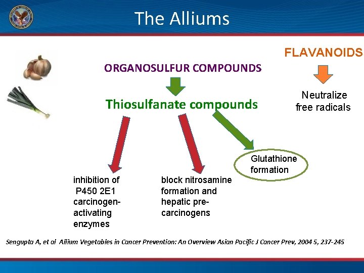 The Alliums FLAVANOIDS ORGANOSULFUR COMPOUNDS Thiosulfanate compounds Neutralize free radicals Glutathione formation inhibition of