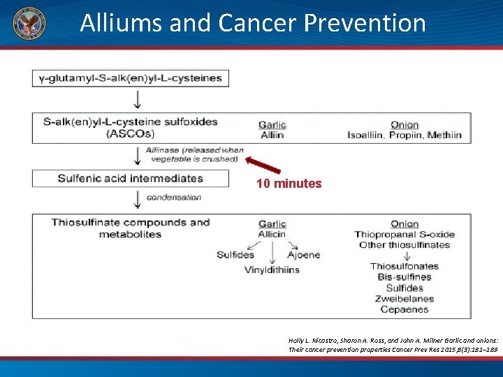 Alliums and Cancer Prevention 10 minutes Holly L. Nicastro, Sharon A. Ross, and John