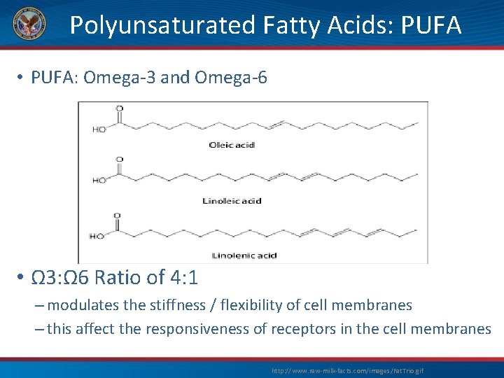 Polyunsaturated Fatty Acids: PUFA • PUFA: Omega-3 and Omega-6 • Ω 3: Ω 6