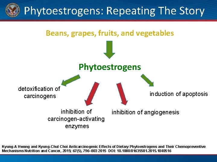 Phytoestrogens: Repeating The Story Beans, grapes, fruits, and vegetables Phytoestrogens detoxification of carcinogens inhibition
