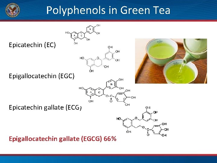 Polyphenols in Green Tea Epicatechin (EC) Epigallocatechin (EGC) Epicatechin gallate (ECG) Epigallocatechin gallate (EGCG)