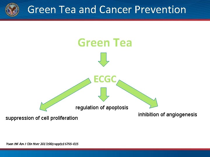 Green Tea and Cancer Prevention Green Tea ECGC regulation of apoptosis suppression of cell