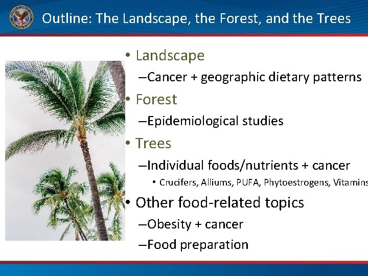 Outline: The Landscape, the Forest, and the Trees • Landscape – Cancer + geographic